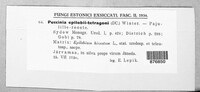 Image Associated With the Occurrence
